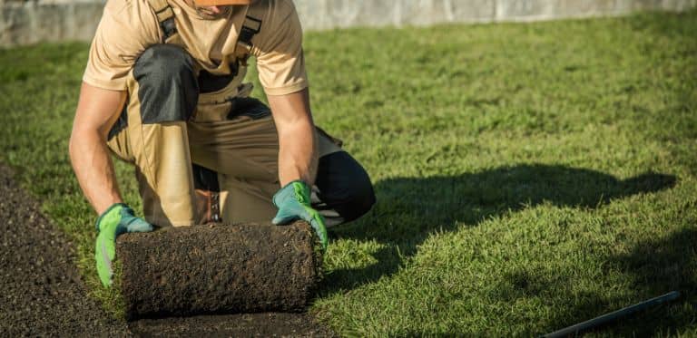 création espace d'accueil professionnel montpellier