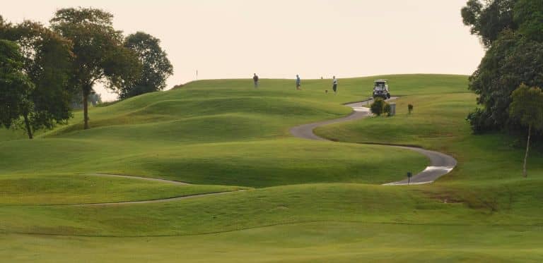 Pose de gazon pour Terrains de padel, tennis, golf à Montpellier