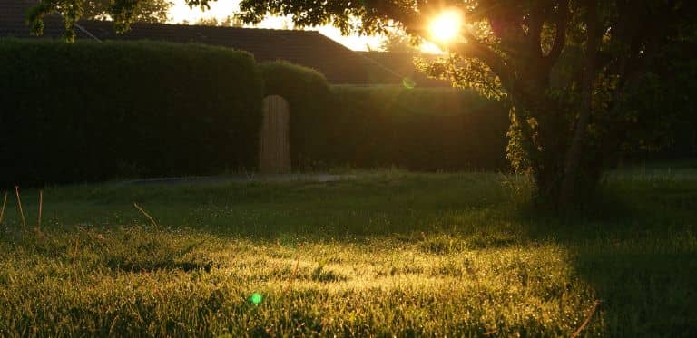 Pose de gazon à Montpellier : Un investissement rapidement rentabilisé