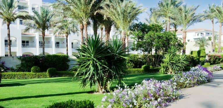 Le gazon synthétique c'est zéro nuisance, zéro contrainte !