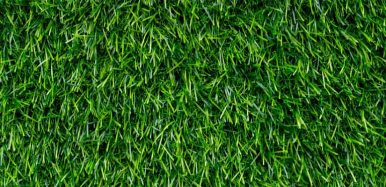 pose-gazon-synthétique-montpellier