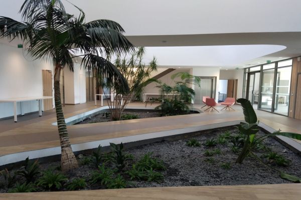 création jardin intérieur pour professionnels