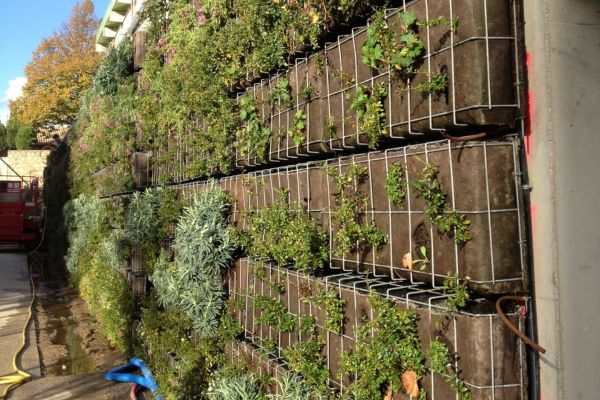 création mur végétalisé pour pro montpellier