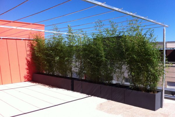 Terrasse végétalisée pour pro montpellier
