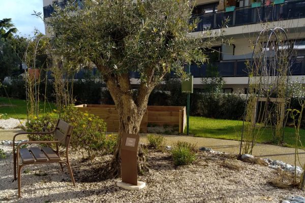 création espace extérieur convivial entreprise montpellier