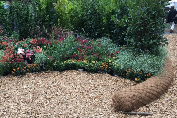création jardin pour entreprise hérault