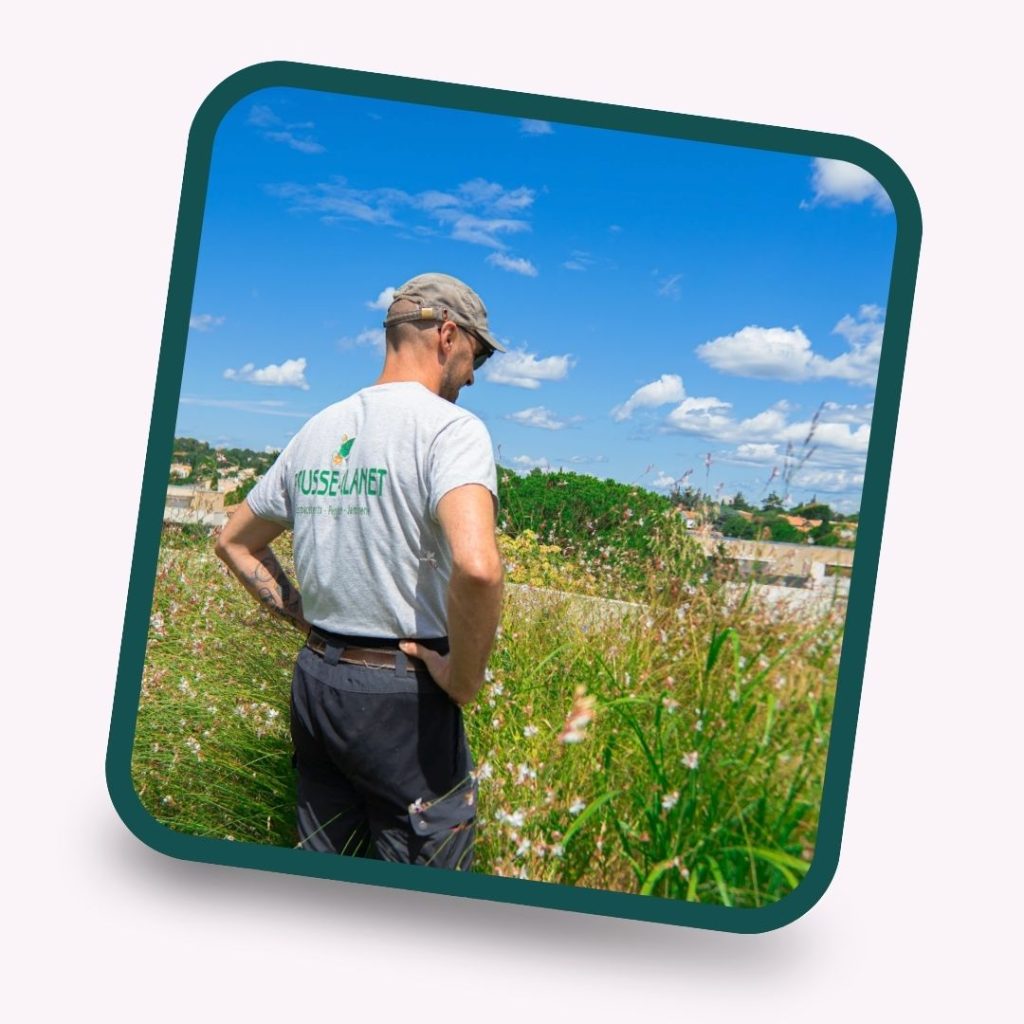 échange projet location plantes montpellier