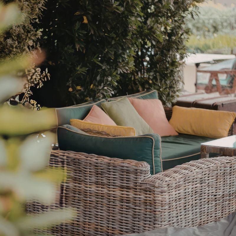 location arbuste bar de plage montpellier