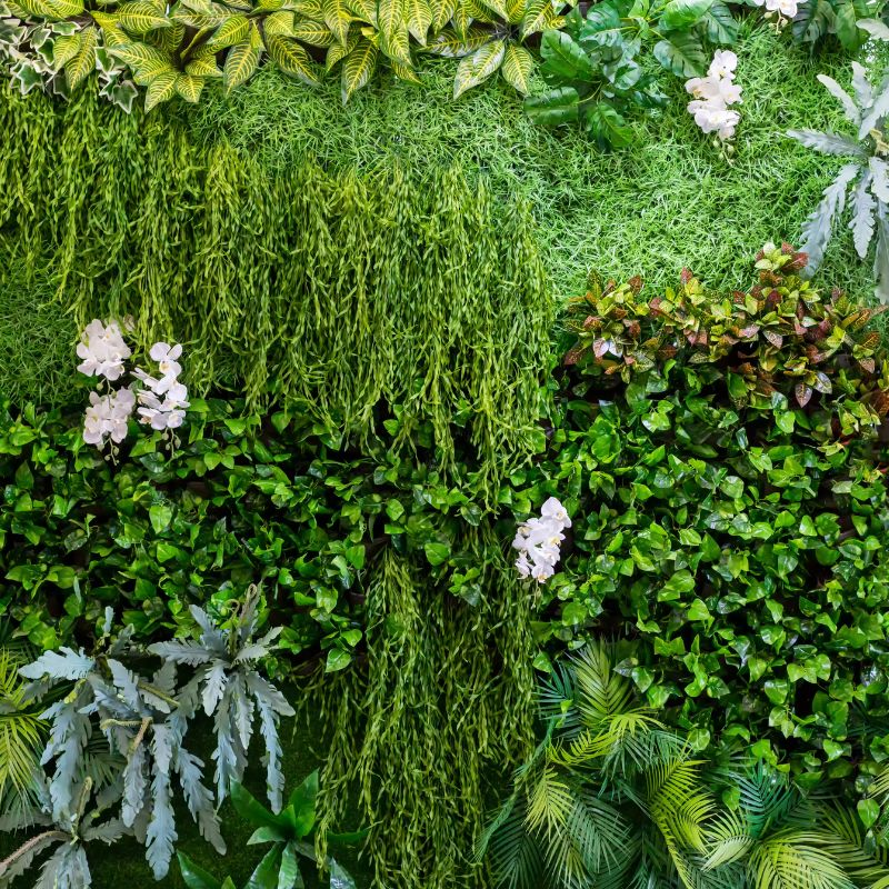 location mur végétal professionnel montpellier