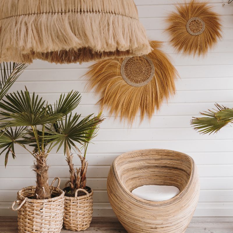 location plante paillotte montpellier