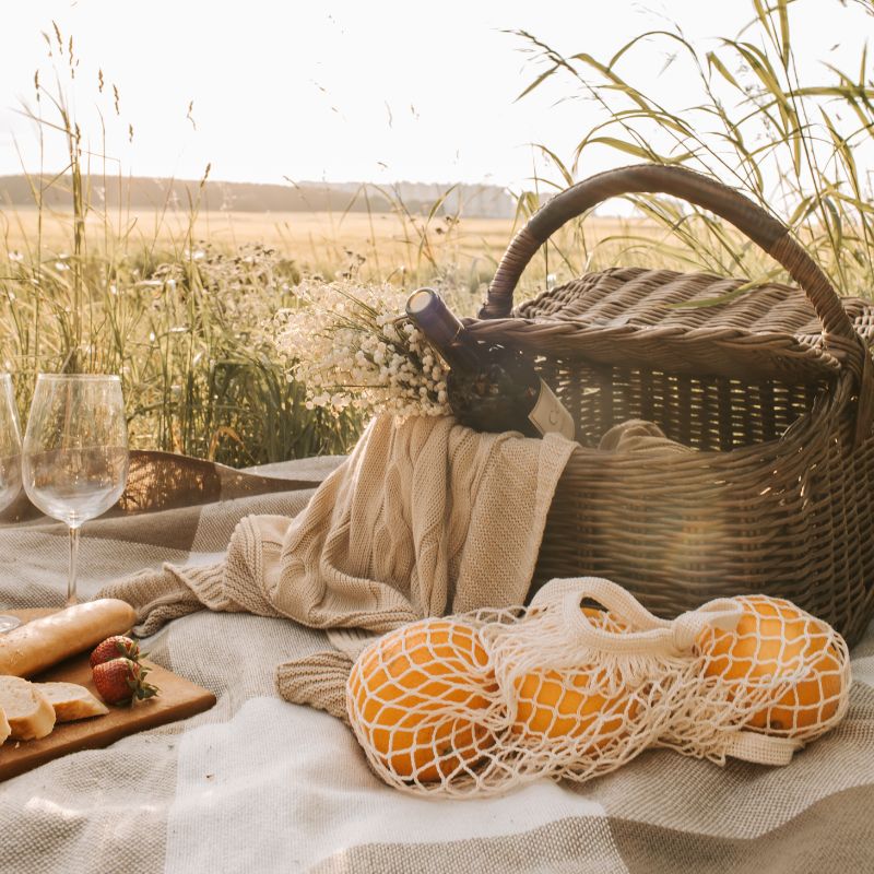 location plante soirée plage montpellier