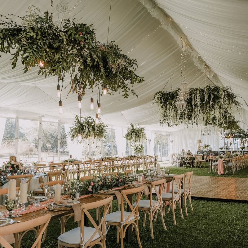 location plantes mariage montpellier