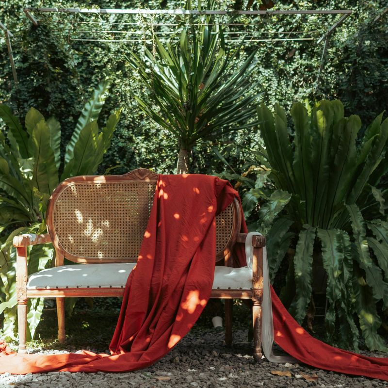 location plantes vertes garden party montpellier