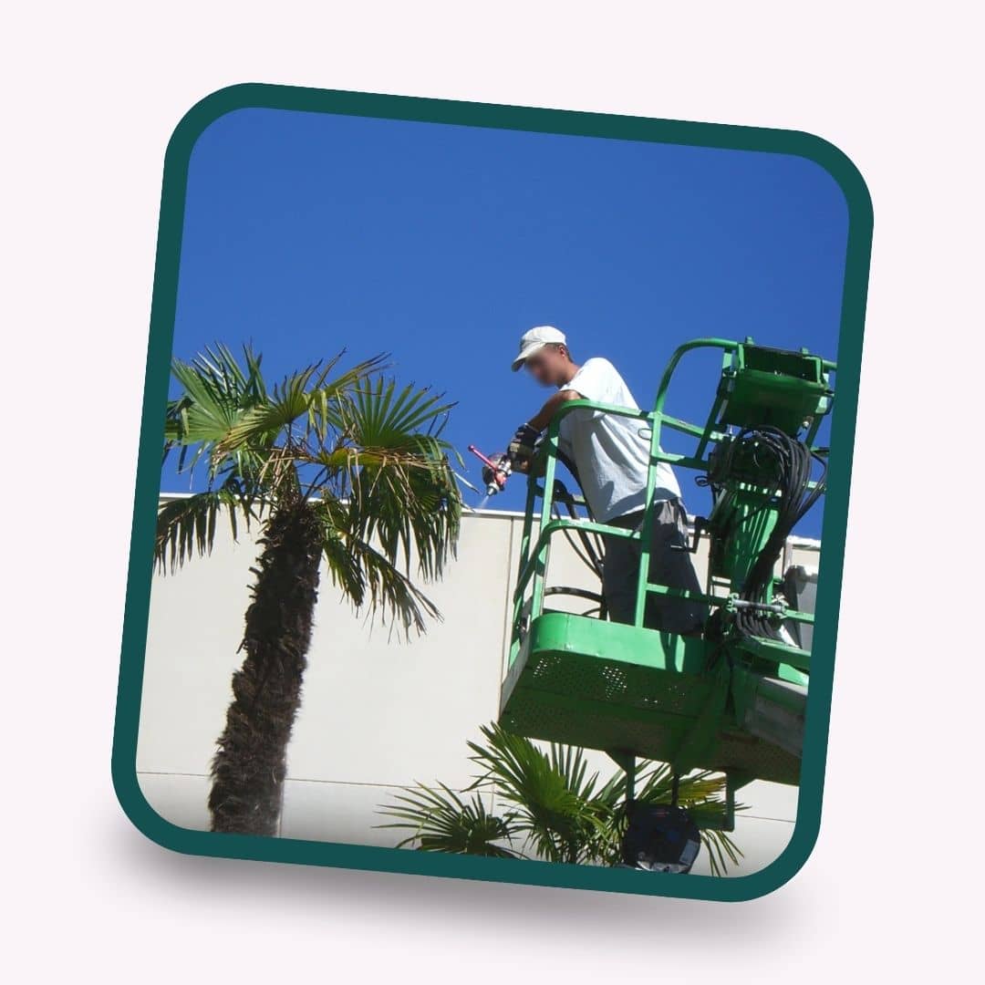 traitement phytosanitaire professionnel dans l'hérault