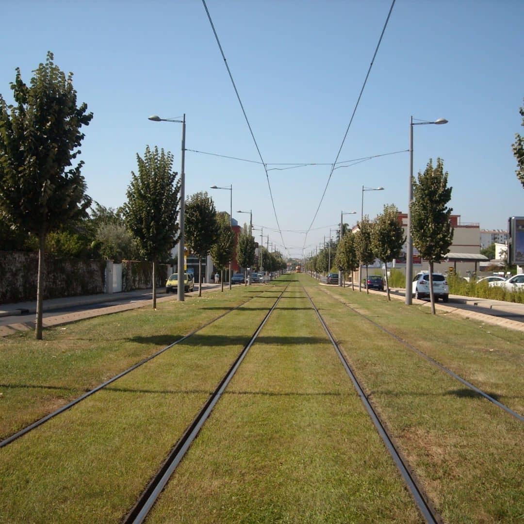 Service de tonte de pelouse pour ville et village dans l'Hérault