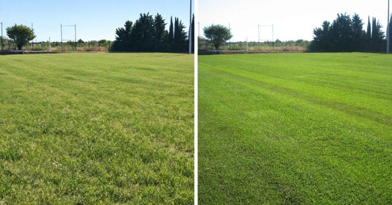 Entretien stade B2B à Montpellier
