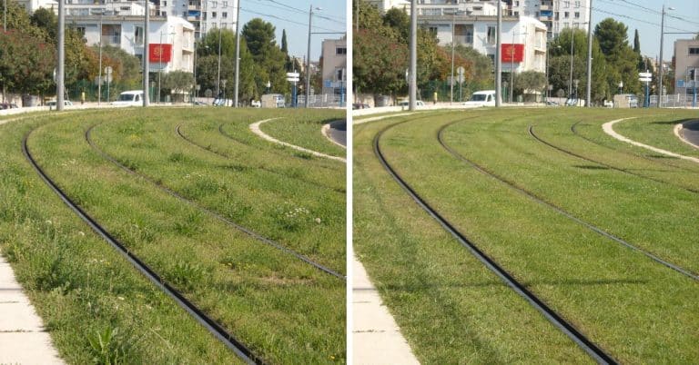 avant après tonte d'herbes pour métropole